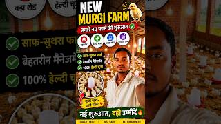 poultry farm vlog 🐤#poultryfarm #farming #poultry #chicken #murgifarm #murgi #birds #poultrybusiness