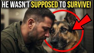 Marine adopts K9: The emotional story of a veteran battle buddy