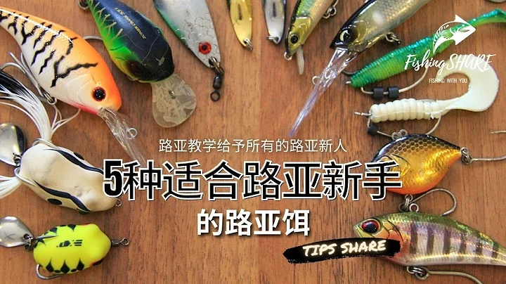 【FishingShare】5種適合路亞新手的路亞餌（路亞教學給予所有的路亞新人）| 5 LURES FOR BEGINNERS (HOW TO USE LURES FOR BEGINNERS) - 天天要聞