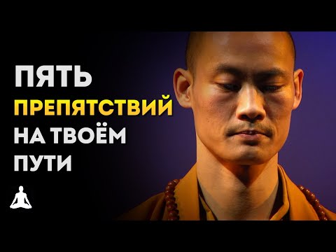 Видео: Мастер Ши Хен И – Пять Препятствий на Пути к Самообладанию