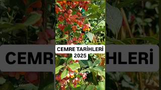 Cemreler Düştü, Havalar Isiniyor Icaklık Çe Çesi