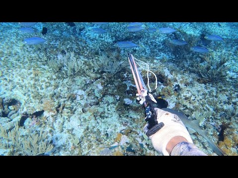 Chased By Coast Guard While Returning To Shore After Camping & Spearfishing 3 Days Offshore