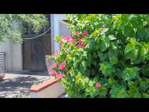 Video thumbnail: Taco Guild Phoenix, Arizona Foodie Vlog:  Tacos in Church?