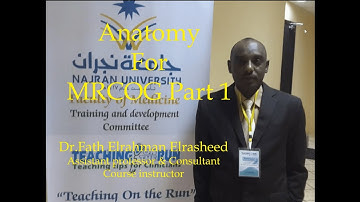 Anatomy for MRCOG part 1