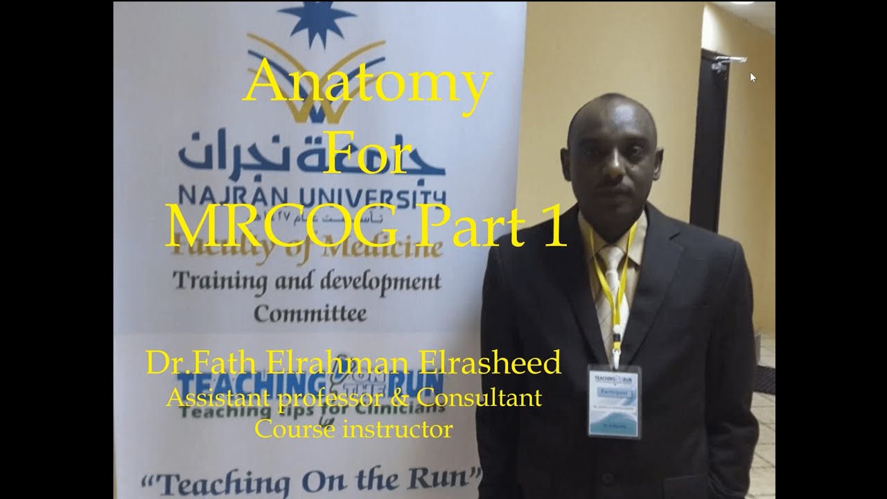 Anatomy for MRCOG part 1