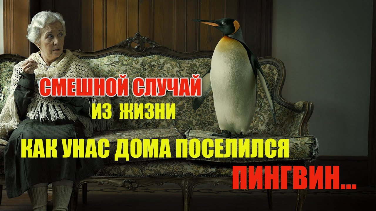 Смешной случай из жизни?? КАК У НАС ПОСЕЛИЛСЯ ПИНГВИН???? - YouTube
