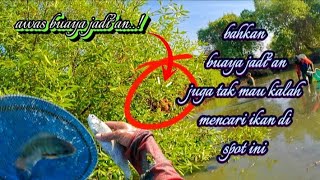 Download Lagu berburu rezeki sisa panan,ikan bandeng,nila,jaer \u0026 udang tinggal mungutin gratis! MP3 Download Lagu berburu rezeki sisa panan,ikan bandeng,nila,jaer \u0026 udang tinggal mungutin gratis! MP3