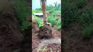 Satisfying Excavator Work: Clearing Land & Digging Deep! 🚜💨