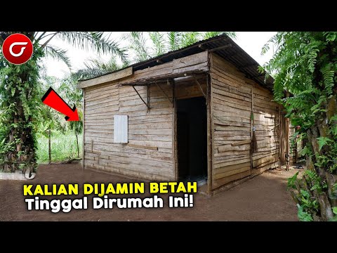 Video: Modern dan Bergaya di Apartemen Putih Dengan Semburan Warna