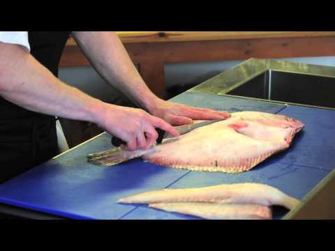 MSFB Turbot Fillet