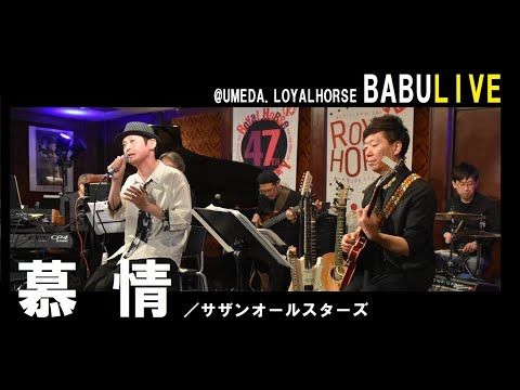 【cover】慕情／サザンオールスターズ【LIVE】
