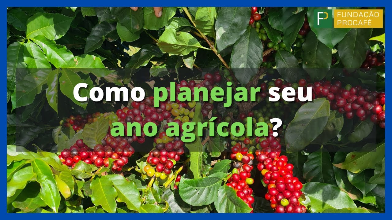 Ano agrícola quando começa 2