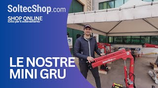 Mini gru 200 kg manuale e elettroidraulica