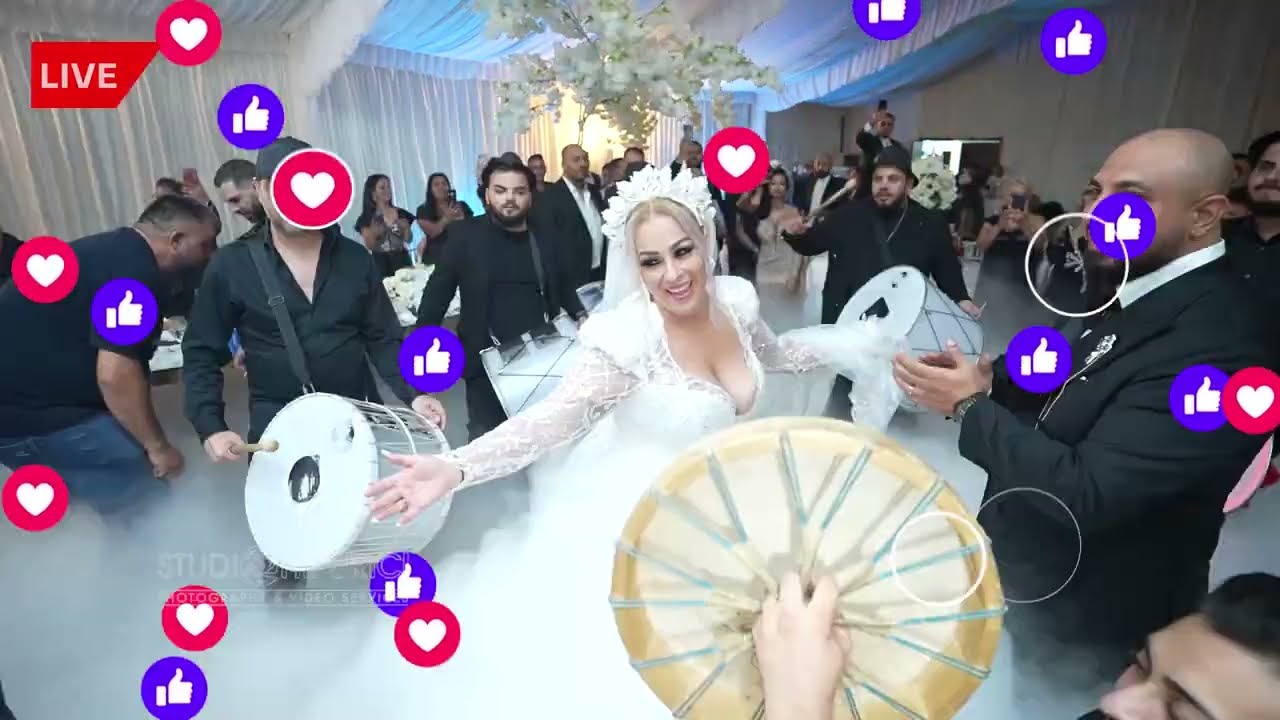 Tobele Romaniei ❎️ Moombahton ❎️ 2023 ❎️ Live Sound ❎️