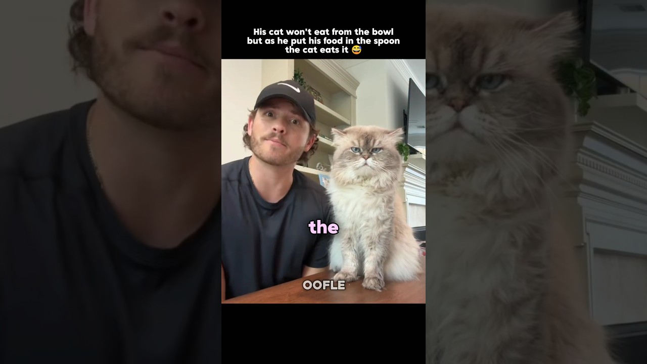 His cat eats from spoon only 😅