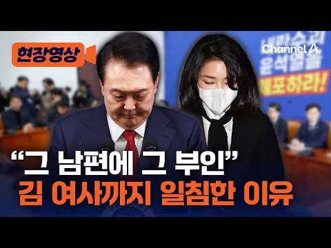 김건희 여사 &amp;#39;표절&amp;#39; 잠정 결론에 대한 민주당 입장 [현장영상] / 채널A