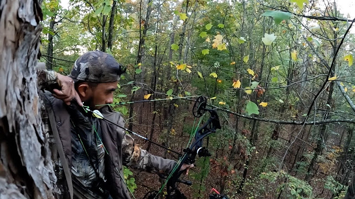 Hunting and Cooking Venison and Giant Hog