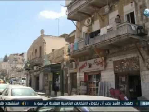 حيفا عروس الكرمل