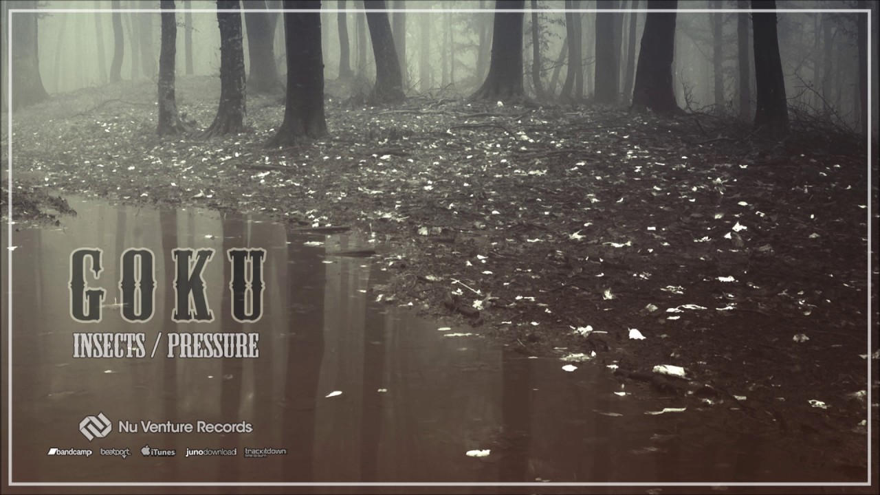 Goku - Insects [NVR042: OUT NOW!]