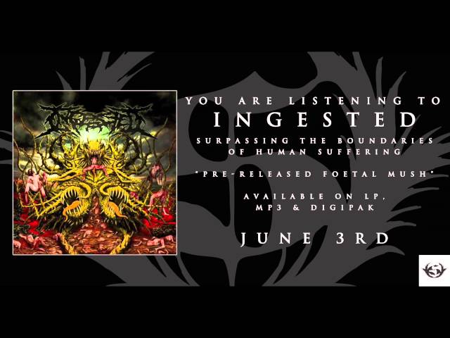 Ingested - Pre