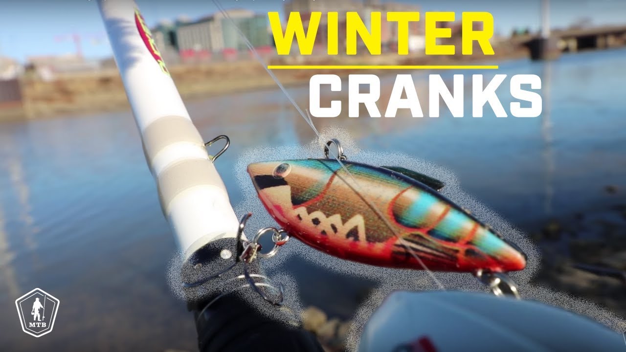 How To Fish Lipless Crankbaits For Winter Bass! 