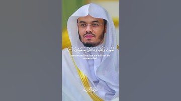 ولئن أطعتم بشرا مثلكم إنكم إذا لخاسرون: سورة المؤمنون : الشيخ  ياسر الدوسري