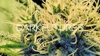 Dubmatix - Show Down feat. Tenor Fly (BassBin Remix)