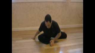 Flexibility Exercise Samples from ElasticSteel -Professional Fast Flexibility Training Certification