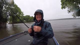 Joe Bass Team Trail on flooded Truman Lake 6-23-19