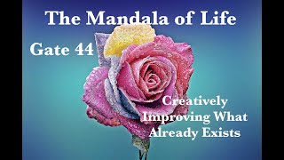 The Mandala of Life/Episode 50/ Gate 44/A Talent for Creatively Improving What Already Exists
