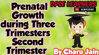 What Is Prenatal Growth During Three Trimesters ? | Second Trimester | Fetal Stage | UCC