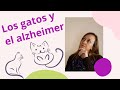 ¿Mi gato tiene alzheimer?