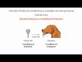 Classical Conditioning - Pavlov's Experiment