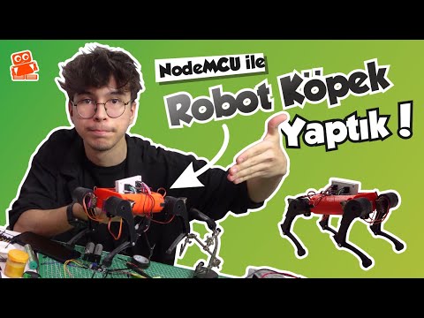 Robot Köpeğiniz Olsun İster misiniz? NodeMCU ile Robot Köpek Nasıl Yapılır? #robotdog #3dprinting