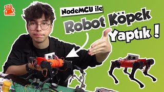 Robot Köpeğiniz Olsun İster Misiniz? Nodemcu Ile Robot Köpek Nasıl Yapılır? 