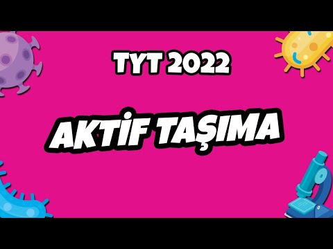 Video: Aktif taşıma hangi enerjiye ihtiyaç duyar?