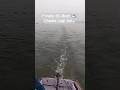 EV-Boat 🚣♂️ #electricboat #ev #marinelife #varanasi #banaras #varanasinews #evboat #evmarine