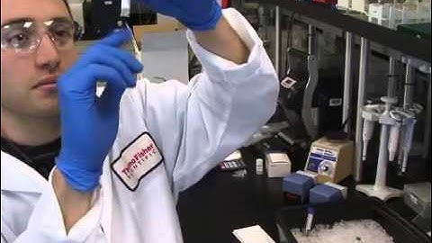 Quantitative Real Time PCR using the Thermo Scientific Solaris qPCR Assay   Protocol