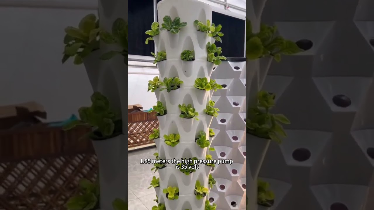 🌱 Looking to enhance your gardening experience? 