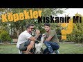 Köpekler Kıskanır Mı?