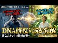 【528Hz×40Hz×自然BGM】DNA修復と脳活性化、自律神経を整え心身を深く癒す特別なヒーリング音楽【睡眠・作業・リラックス】