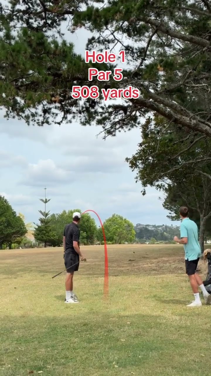 Day 343: Playing GOLF EVERYDAY until I make 18 pars in a row