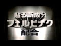 Hisamitsu サロンパスシリーズ フェイタス