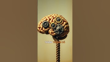 Dòng Tiền Bí Quyết Thành Công Của Các Ông Trùm Tài Chính