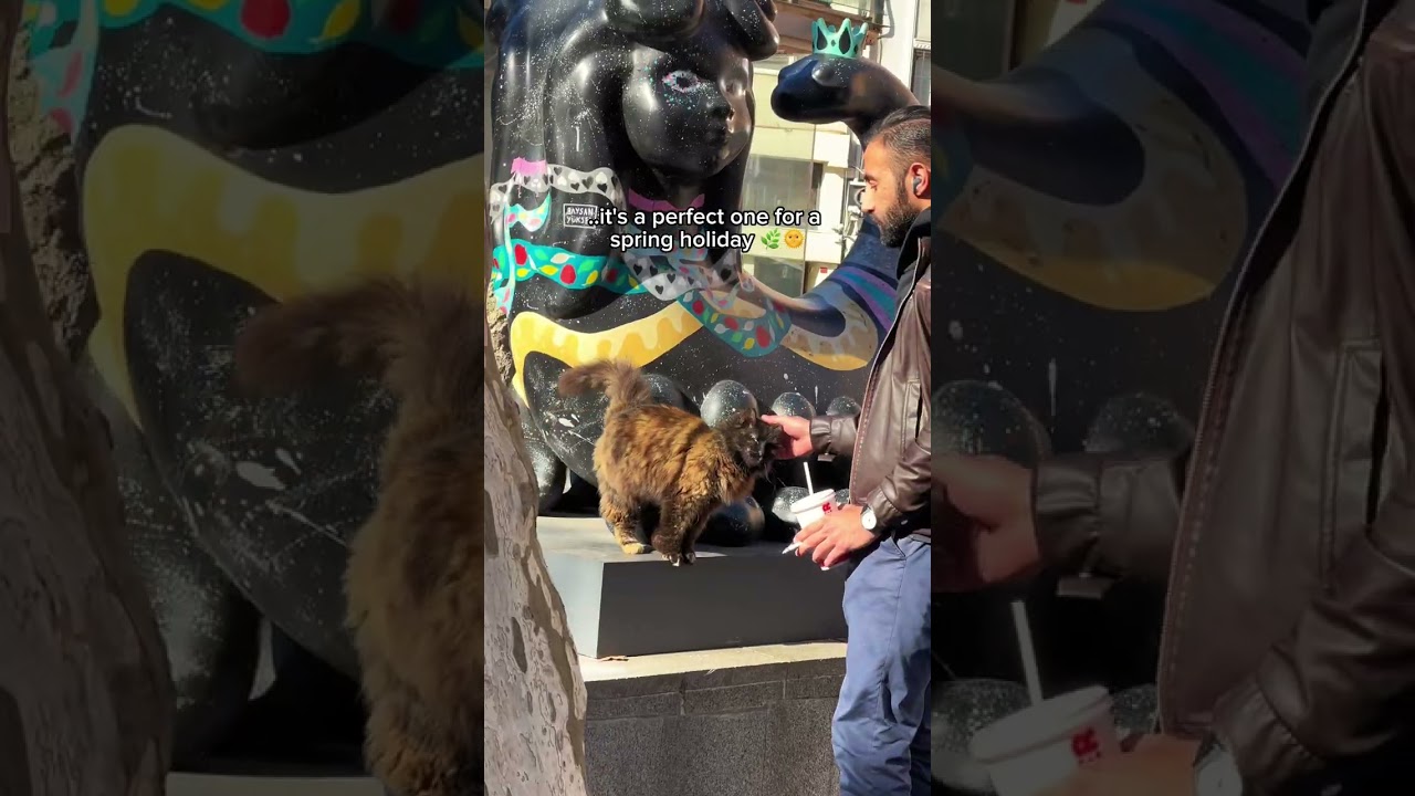 Discover the cheapest flights to this unique Turkish city on Kiwi.com✈️ 