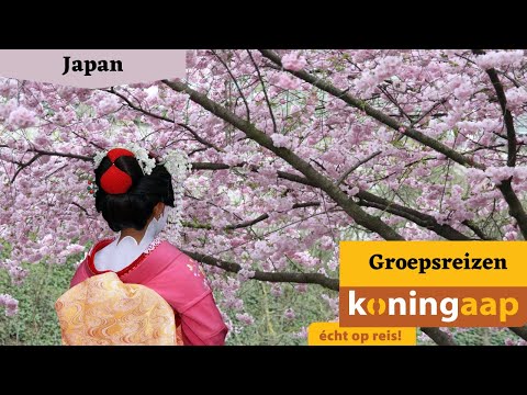 Video: Hoe een reis naar Japan te betalen