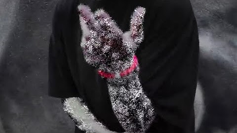 Lui - Computer Crash