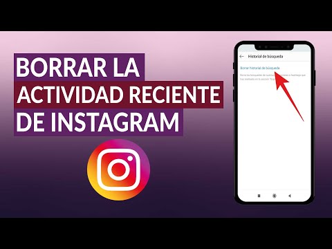 ¿Cómo Borrar la Actividad Reciente de Instagram? - Sin Notificaciones Molestas