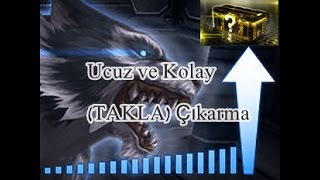 Wolf Team 22 Adet Şampiyona Kasası Açılım Taklaalsancak