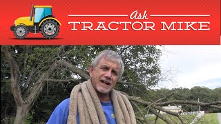 Removing Half-down Dead Elm Branch with Tow Rope and Tractor